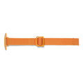 Flame Orange